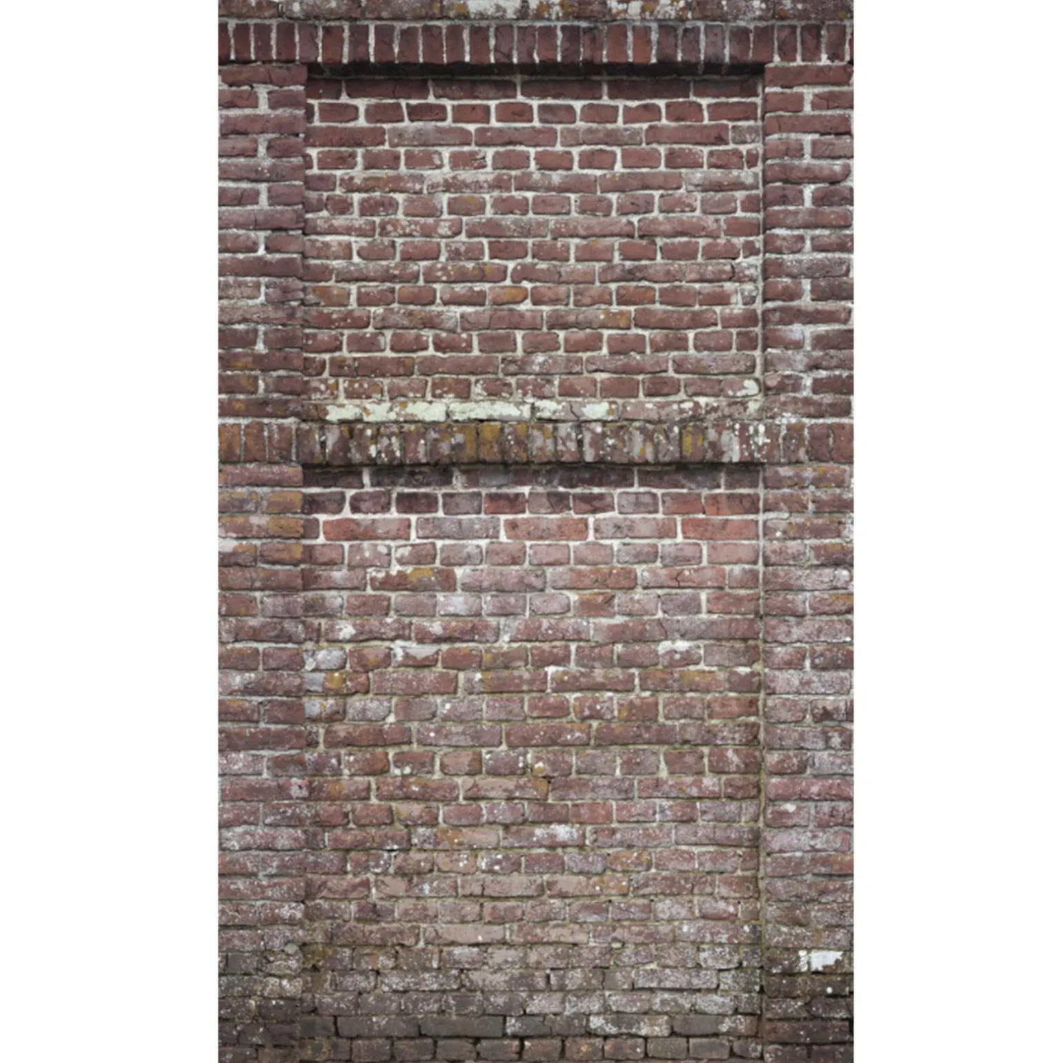 Papier peint panoramique L CASTLE WALL 159 x 280 cm - 4MURS