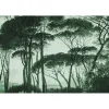 Papier peint panoramique XL BOSQUET 400 x 270 cm vert anglais - 4MURS