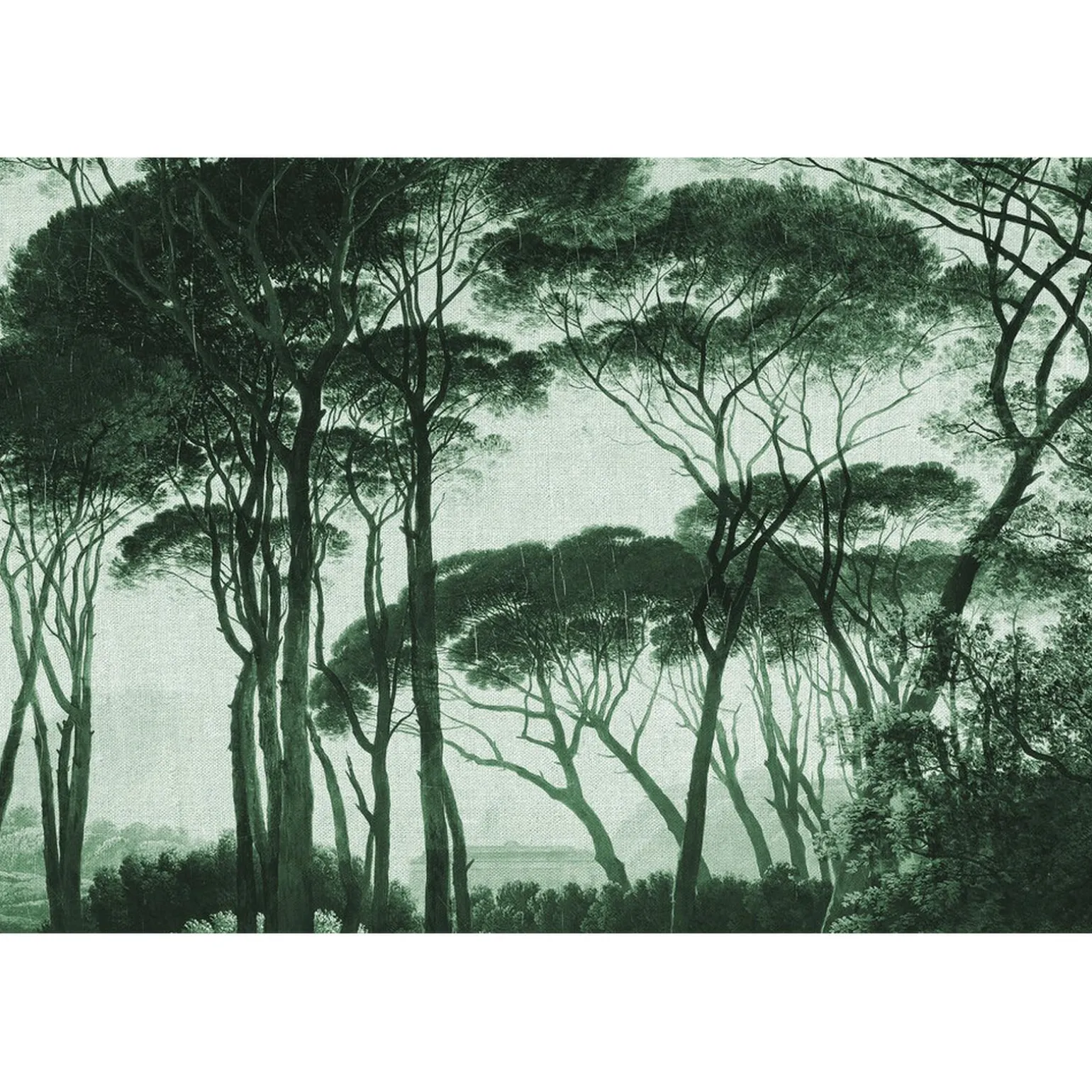 Papier peint panoramique XL BOSQUET 400 x 270 cm vert anglais - 4MURS