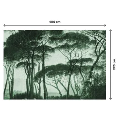 Papier peint panoramique XL BOSQUET 400 x 270 cm vert anglais - 4MURS