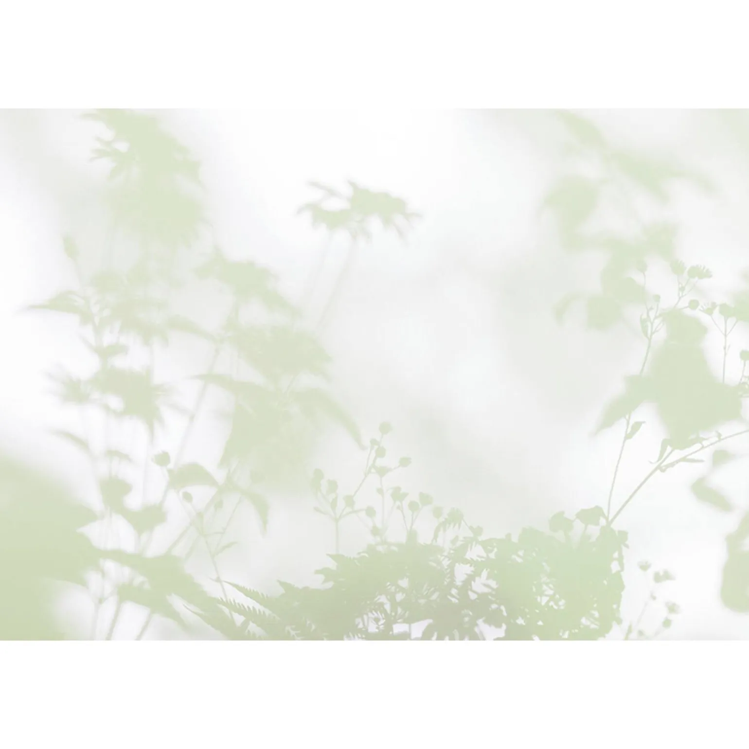 Papier peint panoramique XL FOGLIA 400 x 270 cm - 4MURS