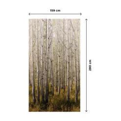 Papier peint panoramique L BIRCH TREE 159 x 280 cm - 4MURS