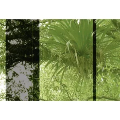 Papier peint panoramique XL TROPELIA 400 x 270 cm - 4MURS