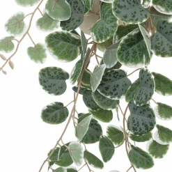 Plante artificielle CEROPEGIA coloris vert - 4MURS