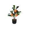 Plante artificielle ORANGER coloris Vert, noir, orange - 4MURS