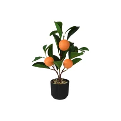 Plante artificielle ORANGER coloris Vert, noir, orange - 4MURS