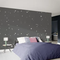 Poussière d'étoiles Peinture Peinture gris Canopus 2 L - 4MURS