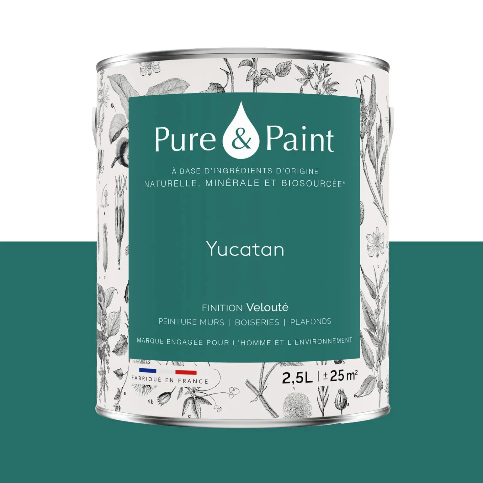 Pure and Paint Peinture Peinture Yucatan - 4MURS