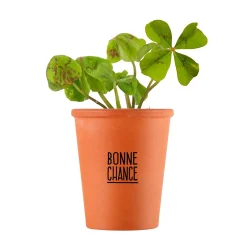 Radis et Capucine Kit MESSAGE BONNE CHANCE - TRÈFLE À 4 FEUILLES