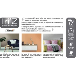 Richard Peinture IRIZ Peinture renard doré Brillant 2 L - 4MURS