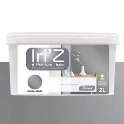 Richard Peinture IRIZ Peinture gris du Gabon Brillant 2 L - 4MURS