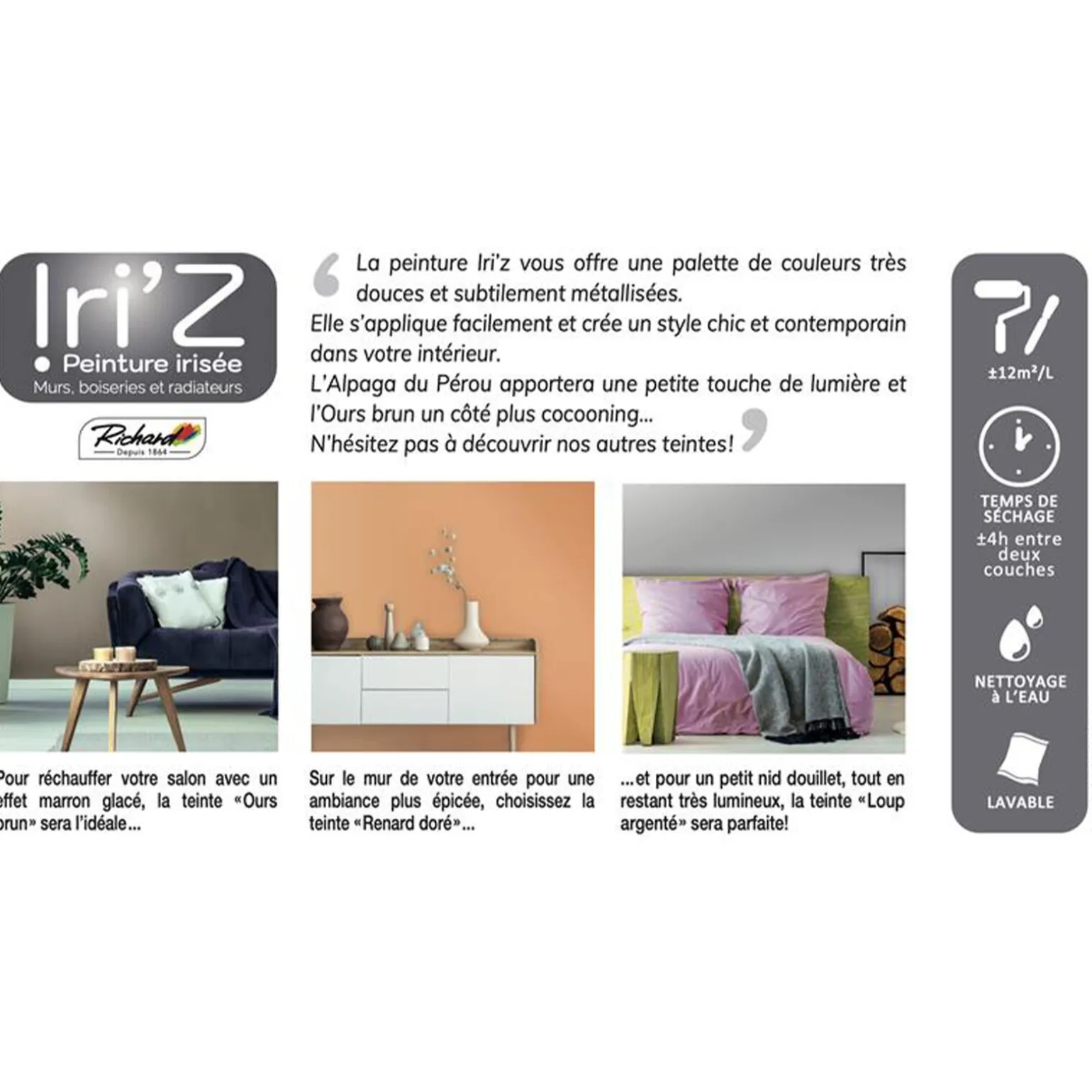 Richard Peinture IRIZ Peinture gris du Gabon Brillant 2 L - 4MURS