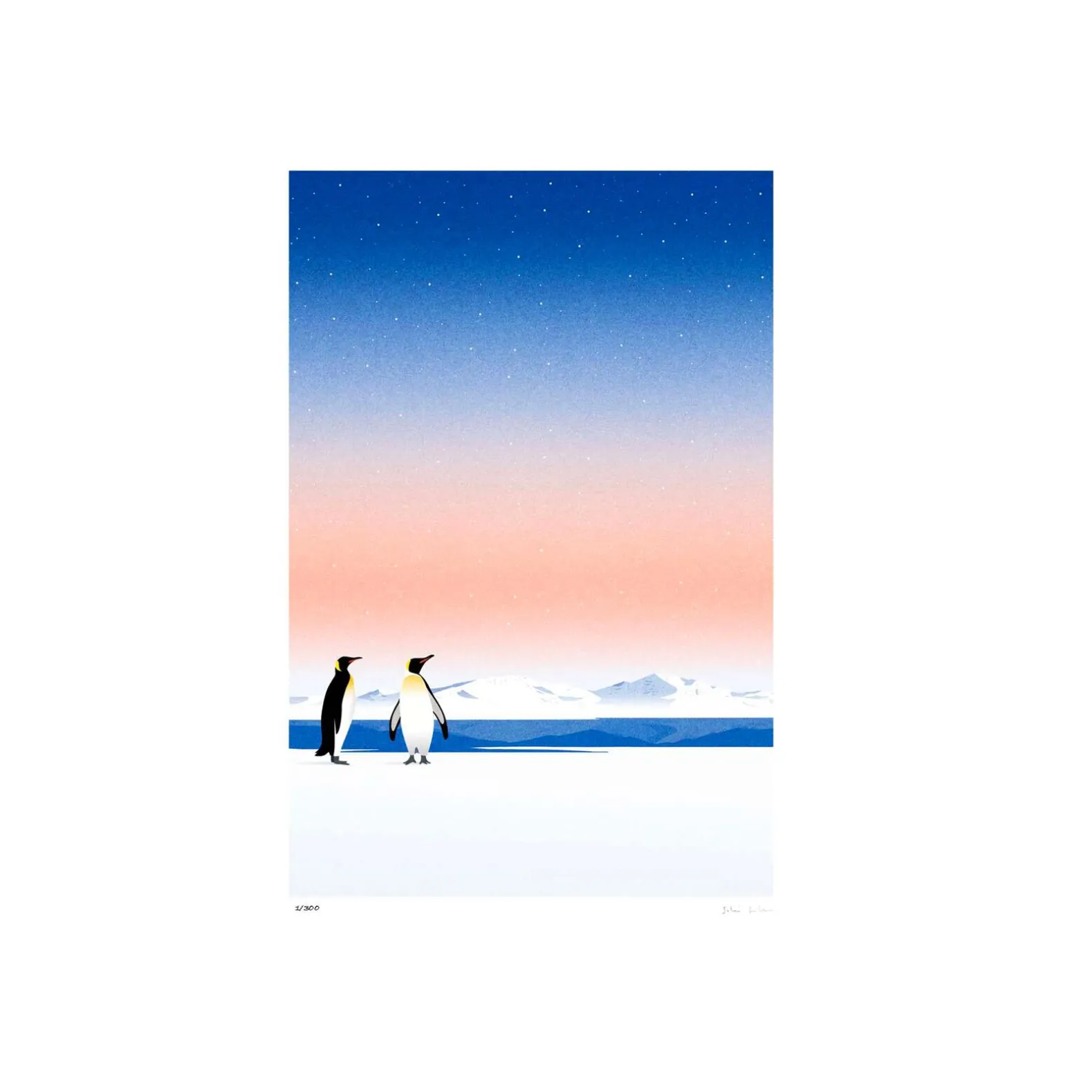 Sergeant Paper Affiche ANTARCTIQUE A3 30 x 42 cm - 4MURS