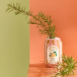Soliflore CANETTE DE LIMONADE coloris orange - 4MURS