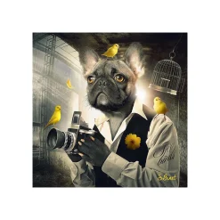 Tableau BINET CHIEN PHOTO coloris noir - 4MURS