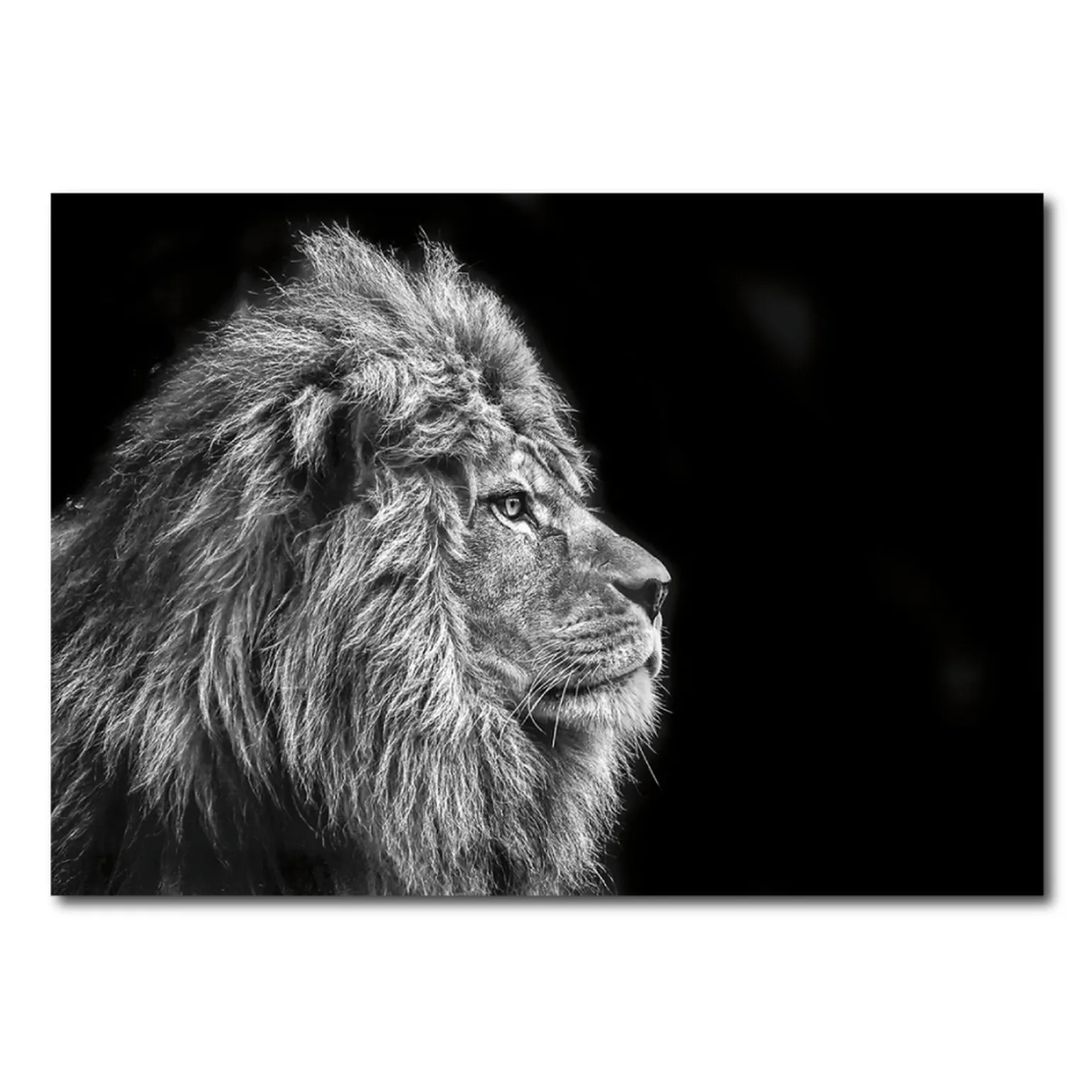Tableau en verre NERGAL 100 x 70 cm - 4MURS
