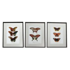 Tableau LEPIDOPTERA coloris multicolore - 4MURS
