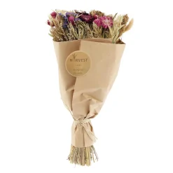 Temerity Jones Fleurs séchées TEODA - 4MURS