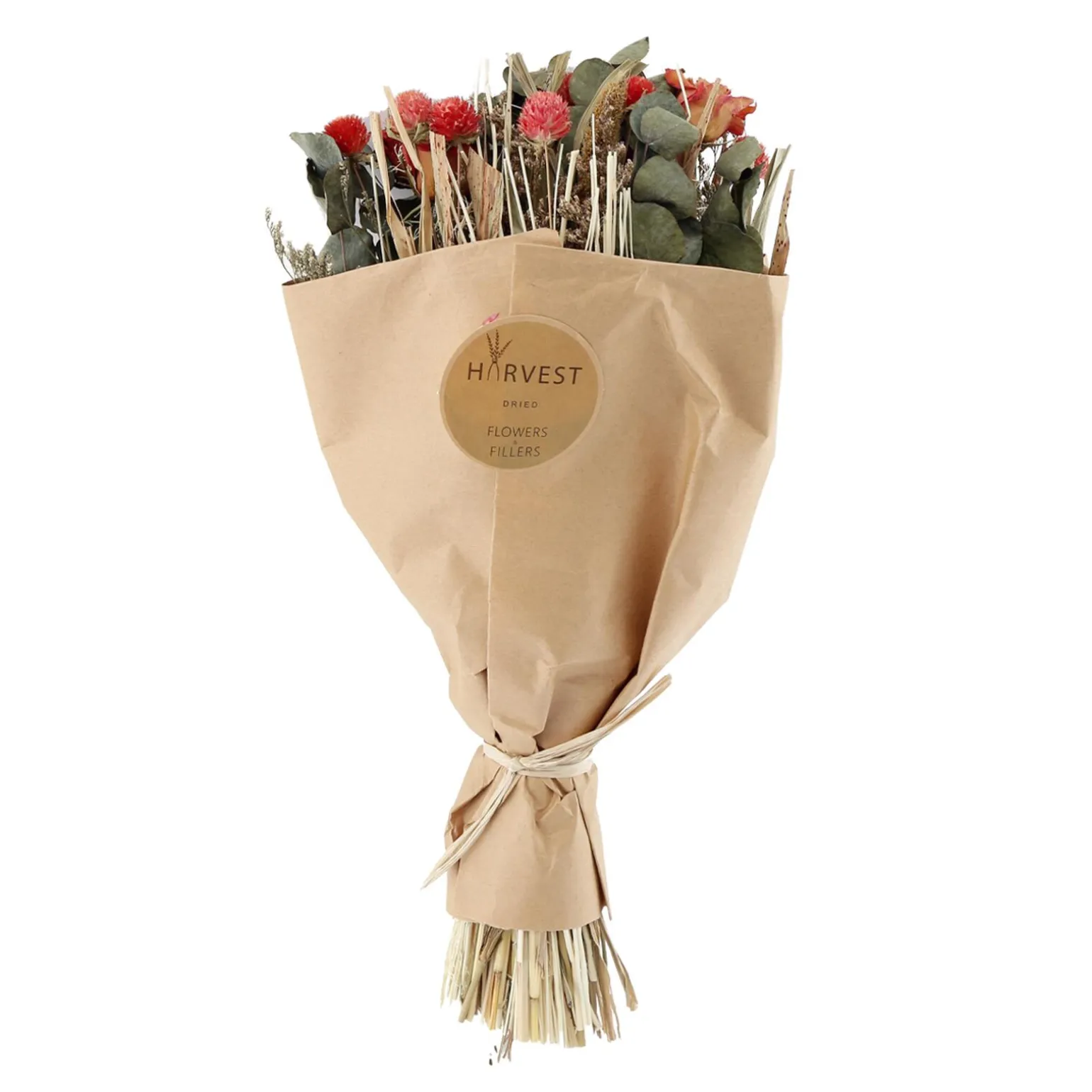 Temerity Jones Fleurs séchées TEODA - 4MURS