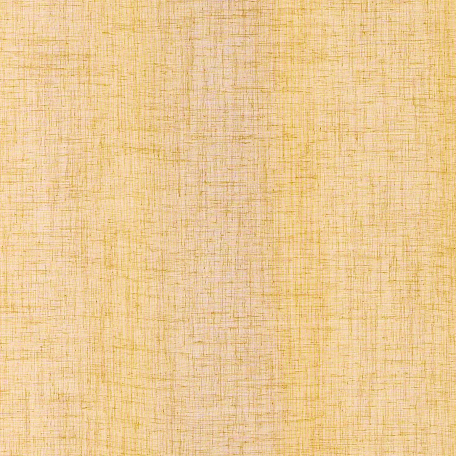 Voilage AIA coloris curry 140 x 240 cm - 4MURS